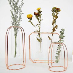 Geometric Floating Iron and Glass Propagation Vase